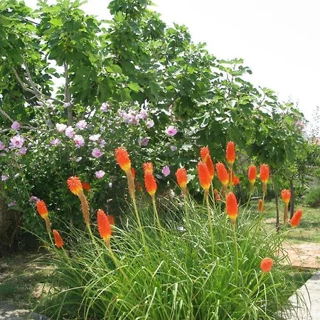 With Parking Space Palit, Rab - 16356 *