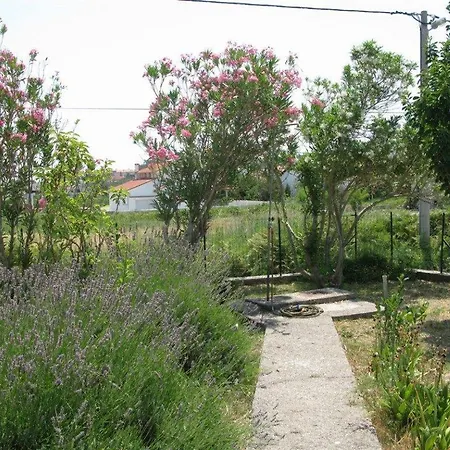 Apartament With Parking Space Palit, Rab - 16356