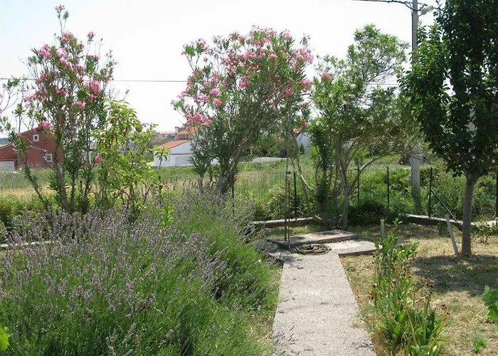 Διαμέρισμα With Parking Space Palit, Rab - 16356